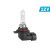 Carmotion Vision HIR2 / 9012 autó izzó, 12V, 55W, PX22d (1db)
